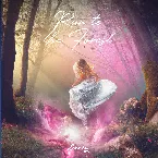 Pochette Run to the Forest