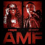 Pochette AMF