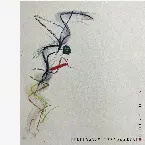 Pochette Live in Carrboro