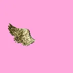 Pochette HOLY