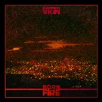 Pochette Born in Fire