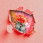 Pochette Fièvre Humaine