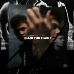 Pochette I Said Too Much