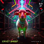 Pochette Crazy Sheep