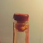 Pochette Pretend Multiphonics