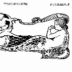 Pochette Two Snakes