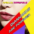Pochette Diamonds Are Forever