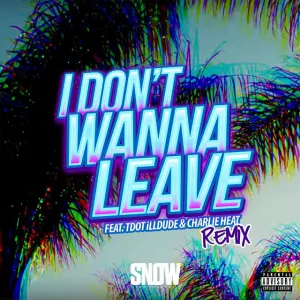Pochette de I Don’t Wanna Leave (remix) de Snow tha Product