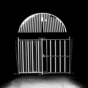 Pochette de The Belly of the Jungle de Dead Chic