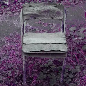 Pochette de Steamroom 52 de Jim O’Rourke