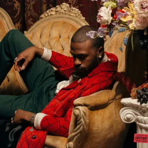 Pochette de The Falling Man de Duckwrth