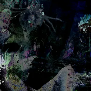 Pochette de Dances With Shadows de Falsewander