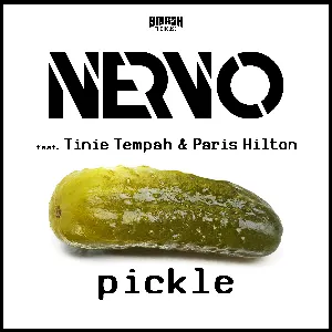Pochette Pickle