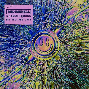 Pochette de Bring Me Joy de Karen Harding - Rudimental