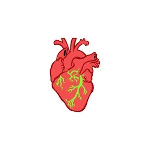 Pochette de Coração Selvagem de Wander Wildner