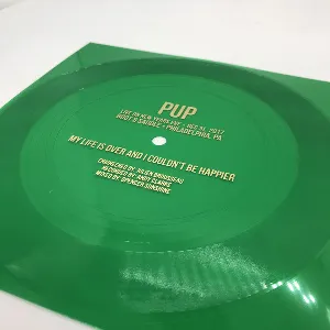 Pochette de My Life is Over and I Couldn't Be Happier de PUP
