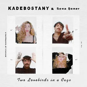 Pochette de Two Lovebirds in a Cage de Kadebostany