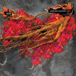 Pochette de Selected Moments Volume 1 de Sense