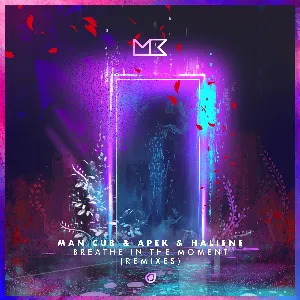 Pochette de Breathe In The Moment (remixes) de HALIENE
