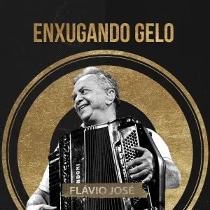 Pochette de Enxugando Gelo de Flávio José