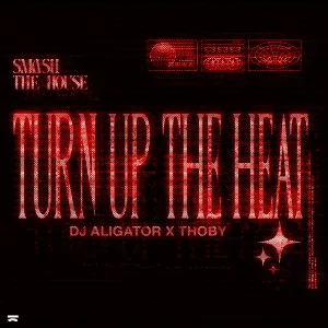 Pochette de Turn Up the Heat de DJ Aligator