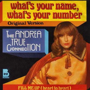 Pochette de White Witch de The Andrea True Connection