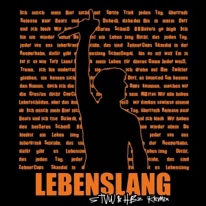 Pochette de LEBENSLANG (STVW & HBz Remix) de HBz