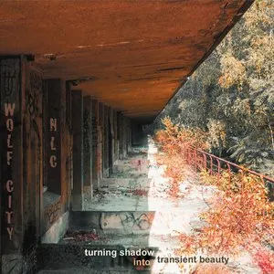 Pochette de Turning Shadow Into Transient Beauty de Nouvelles Lectures Cosmopolites
