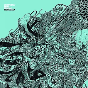 Pochette de Tirsdagsjam de Prins Thomas - Lindstrøm