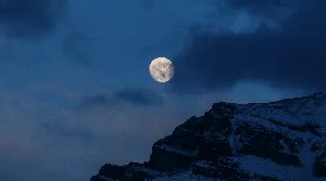 Pochette de Nor the Moon by Night de Scott Lawlor