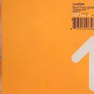 Pochette de Burn the Lights Out de Lowfish