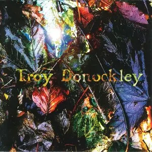 Pochette de The Unseen Stream de Troy Donockley