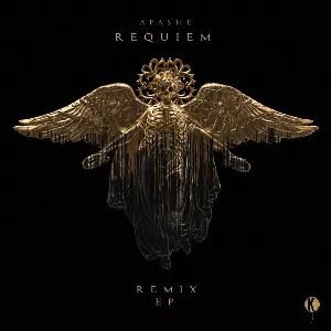 Pochette Requiem Remix EP