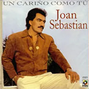 Pochette de Un cariño como tú de Joan Sebastian