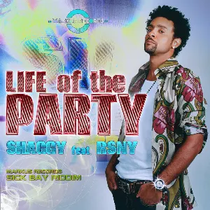 Pochette de Life of the Party de Shaggy