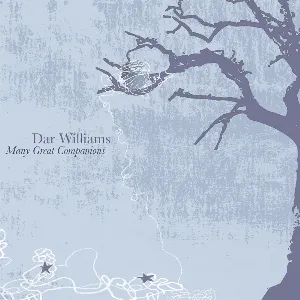 Pochette de Many Great Companions de Dar Williams