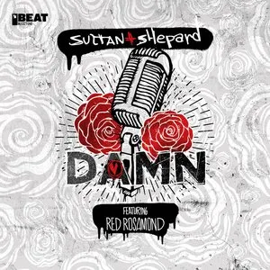 Pochette de Damn de Sultan + Shepard