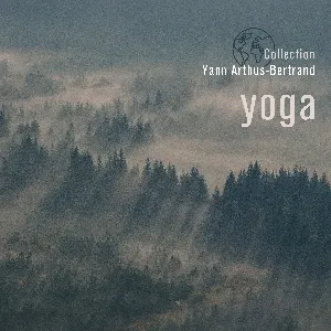 Pochette de Collection Yann Arthus-Bertrand: Yoga de Nicolas Dri