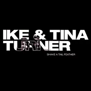 Pochette de Ike & Tina Turner de Ike & Tina Turner