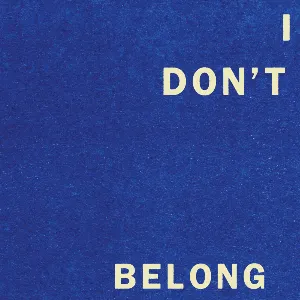 Pochette de I Don’t Belong de Fontaines D.C.