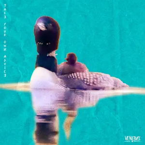 Pochette de Take Your Own Advice de Venjent