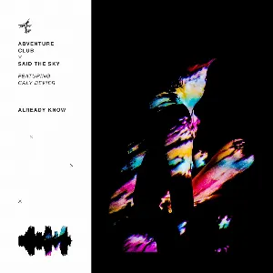Pochette de Already Know de Said the Sky - Adventure Club