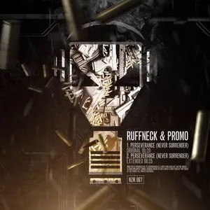 Pochette de Perseverance (Never Surrender) de DJ Ruffneck - Promo