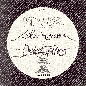 Pochette de Delicate Tension de R. Stevie Moore