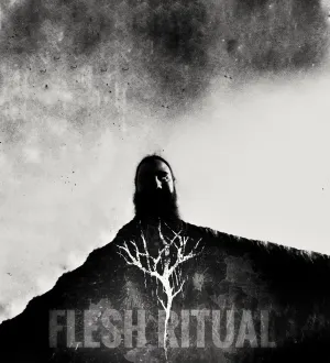 Pochette de Demo Session - IX - Flesh Ritual de Yhdarl