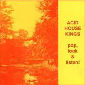 Pochette de Pop, Look & Listen! de Acid House Kings