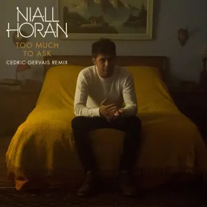 Pochette de Too Much to Ask (Cedric Gervais remix) de Niall Horan