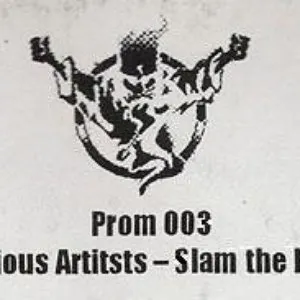 Pochette de Slam the Place de The Prophet