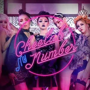 Pochette de My Number de CHEETAH