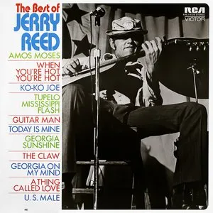 Pochette de The Best of Jerry Reed de Jerry Reed